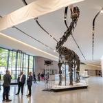 Cleveland Museum of Natural History