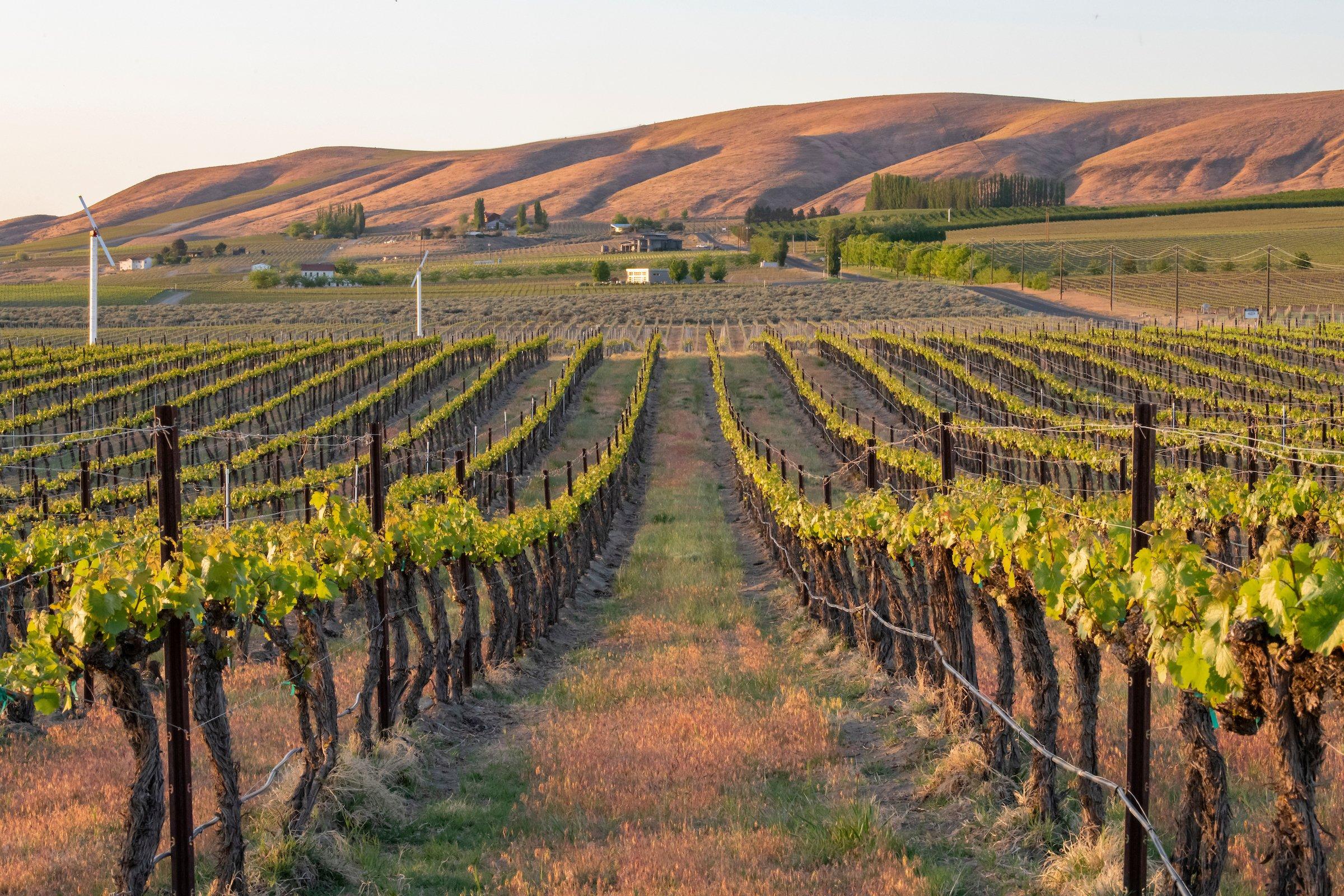 The Wedding Website of Katrina Krebs and Houston Castillo