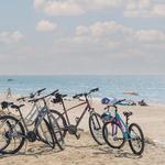 Explore the Harbor Shores Trails
