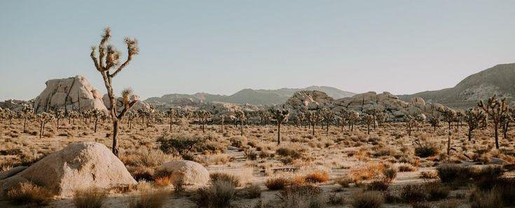 The Wedding Website of Jessie Mires and Kevin Lillicrop