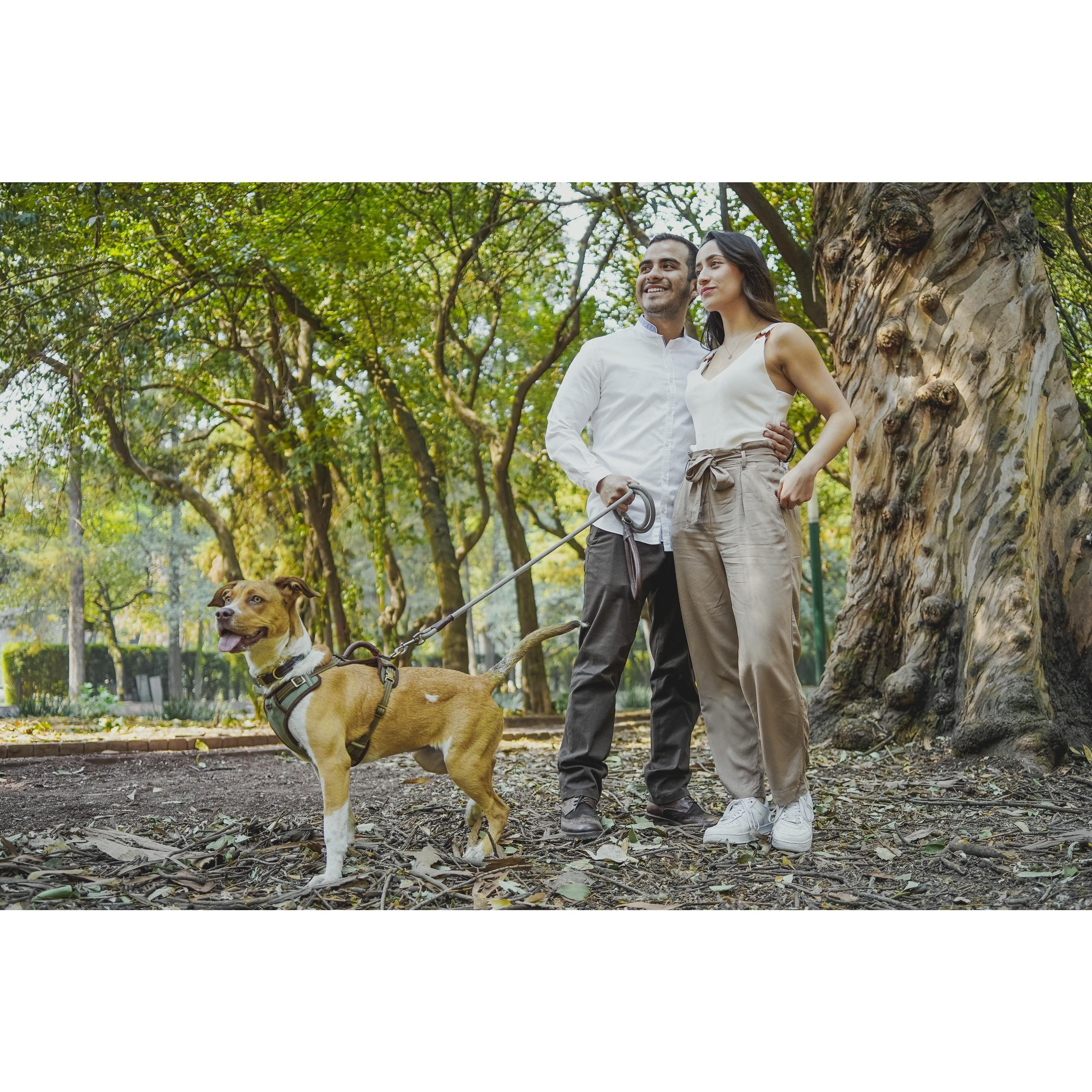 Mila ya no es tan chiquita y nosotros estamos por convertirnos en esposos.
Mila is not a puppy anymore and we're about to become husband and wife.
