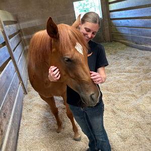 Horse Fund
