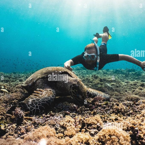 Snorkeling For Two