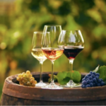Wine Tasting at Napa Valley
