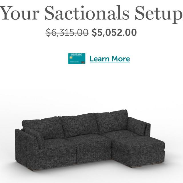 Lovesac Couch