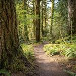 Salmon River Trailhead