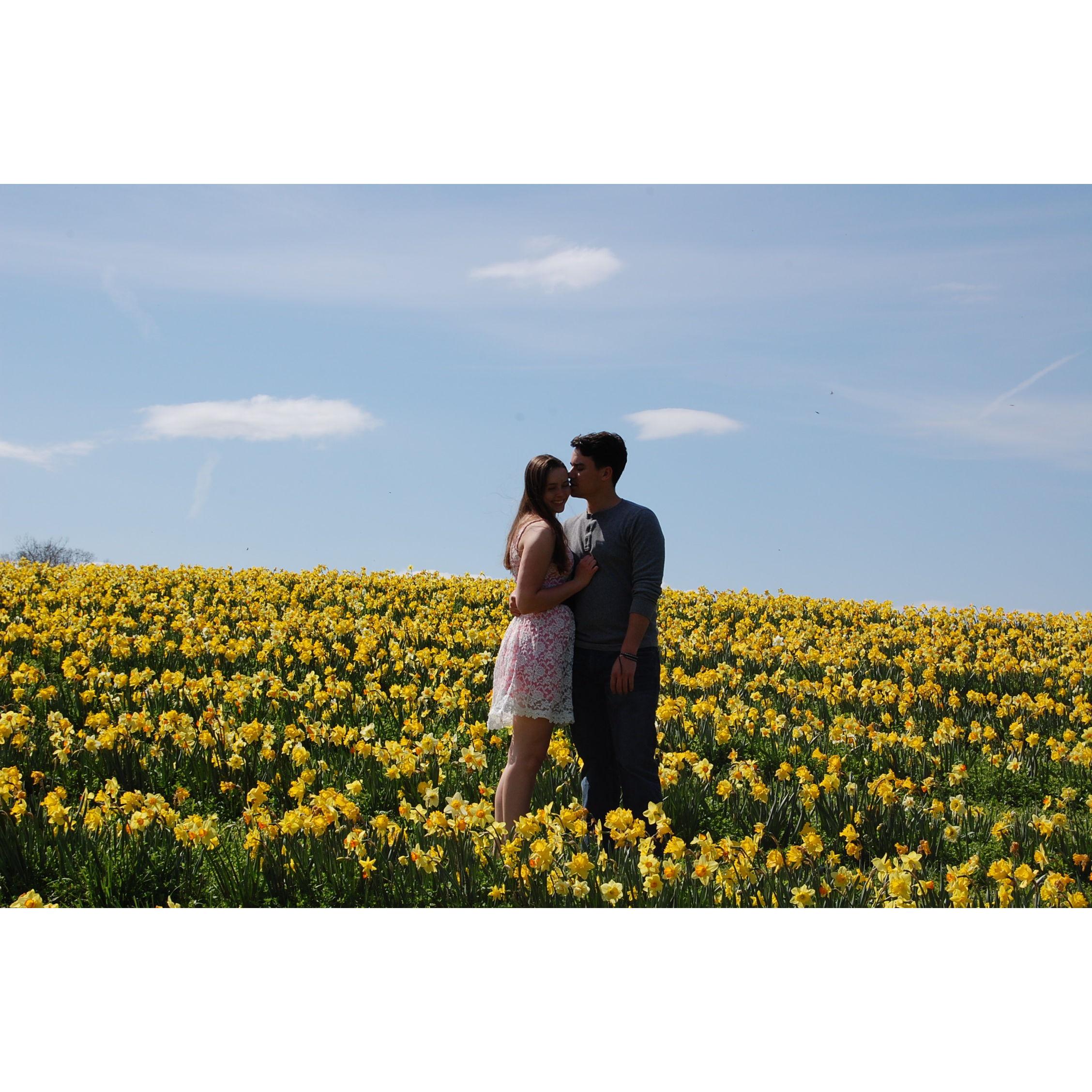 April 6, 2020: Visit to the tulip fields at Burnside Farms