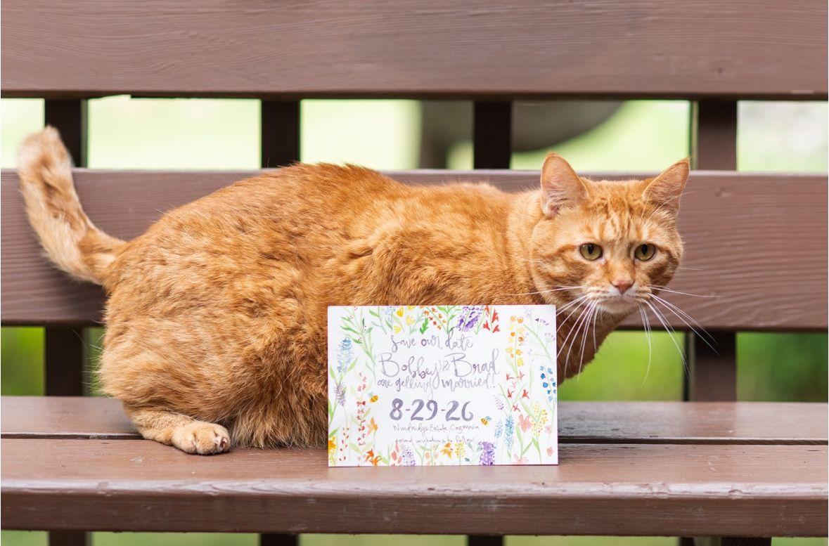 The Wedding Website of Bobbey McCarthy and Bradley Stauffer