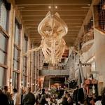 Grand Rapids Public Museum