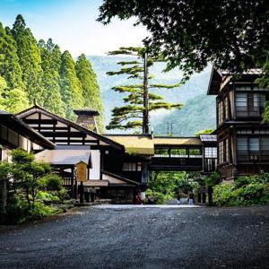 Honeymoon Stay in Japan (Venmo Option)