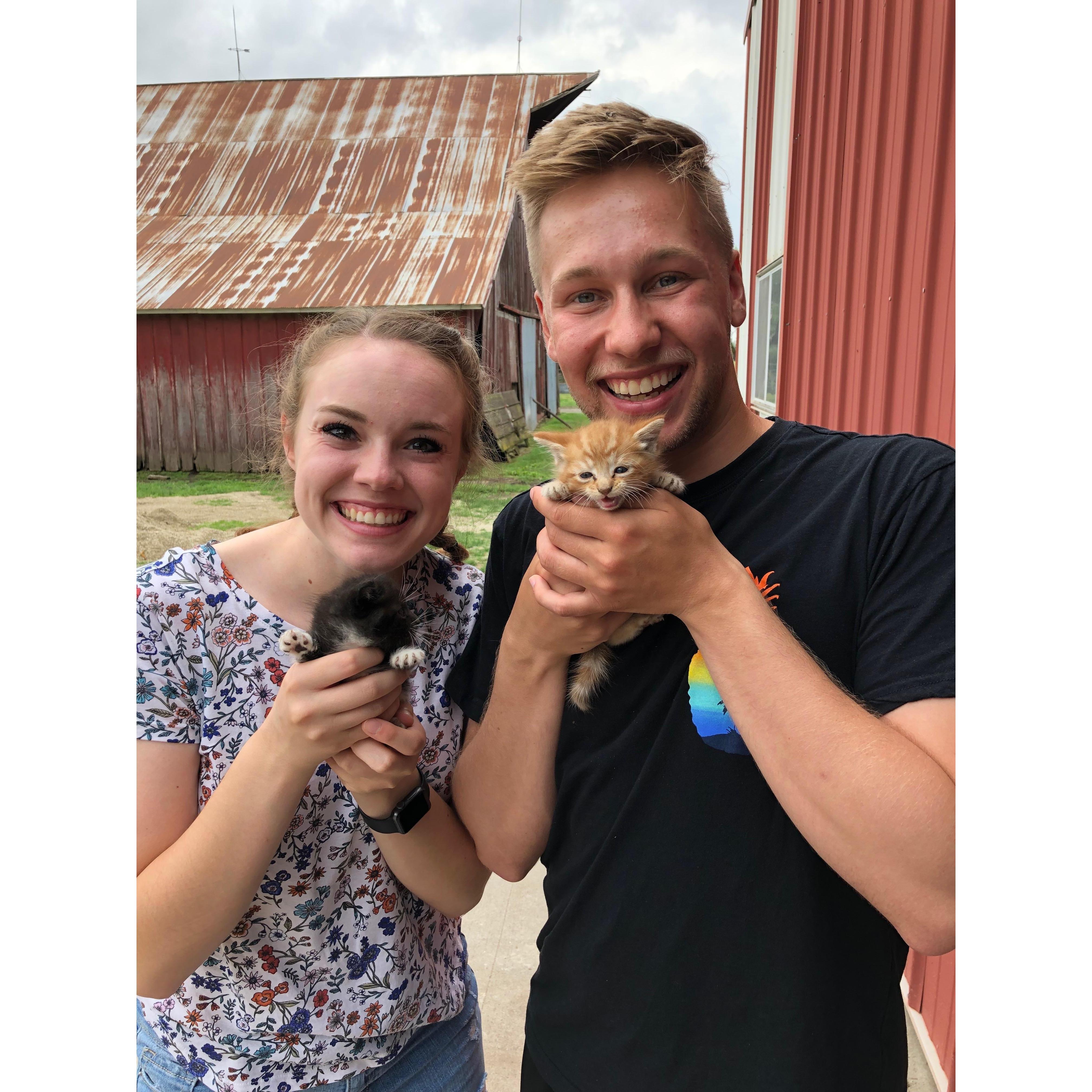 The adorable kittens at my uncle's farm!