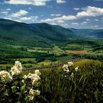 Powell Valley Overlook