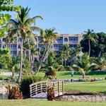 Hit the golf course at Cheeca Lodge