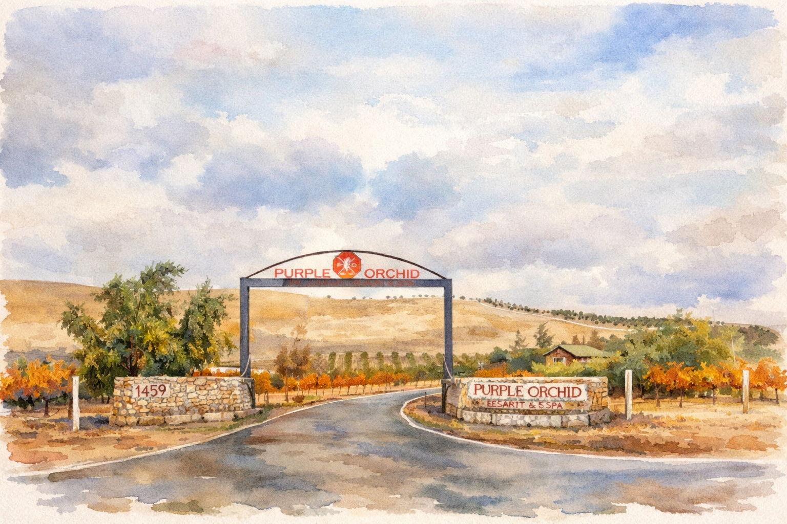 The Wedding Website of Bruna Pinheiro and Kamron Sarhadi