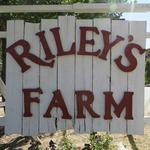 Riley's Farm