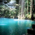 Cuzama Cenotes Day Tour with Lunch