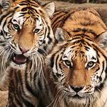 Riverbanks Zoo & Garden