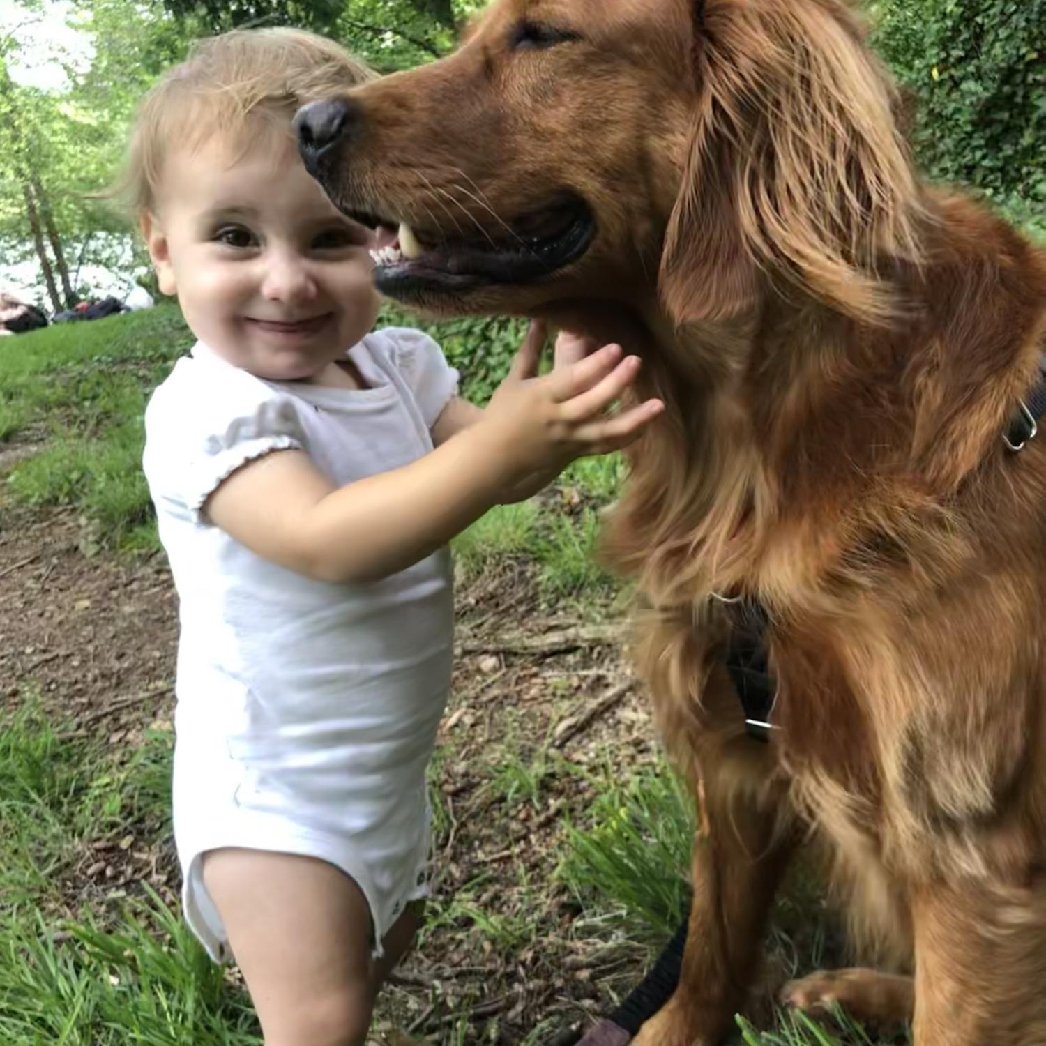 Our most favorite little one, Llew (who is now 4!)