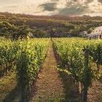 Cascia Vineyards & Winery