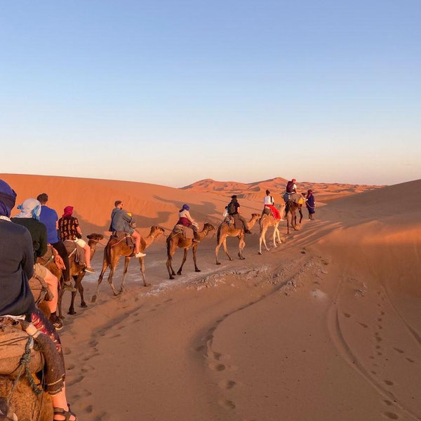 Camel Riding in Morocco! (Honeymoon excursion)