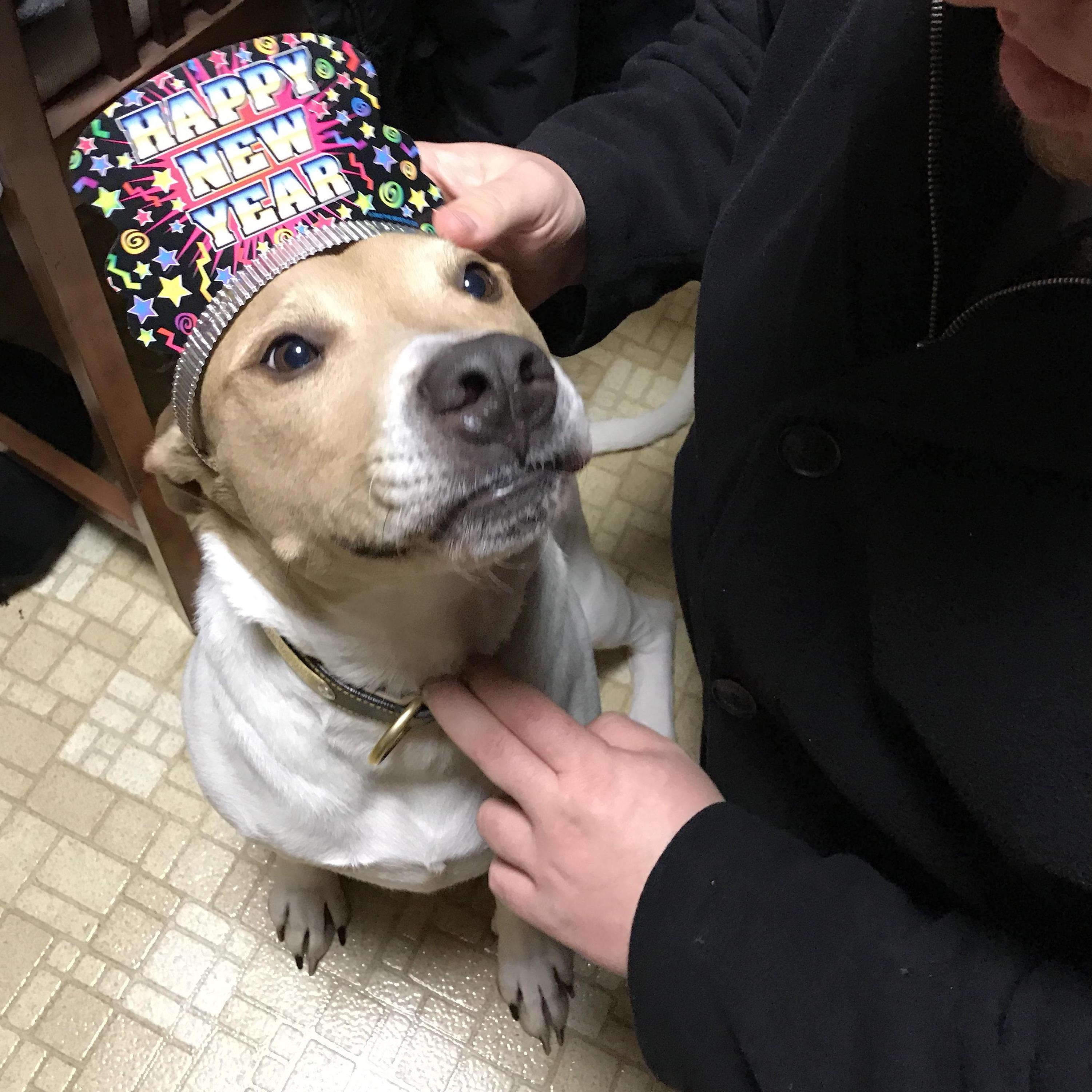 Happy New Year