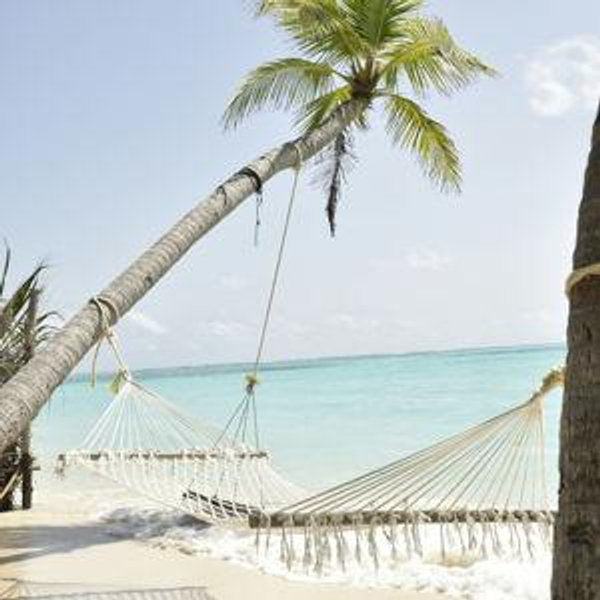 Honeymoon Fund