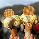 Como Famous Ice Cream Shop- Gelateria Lariana
