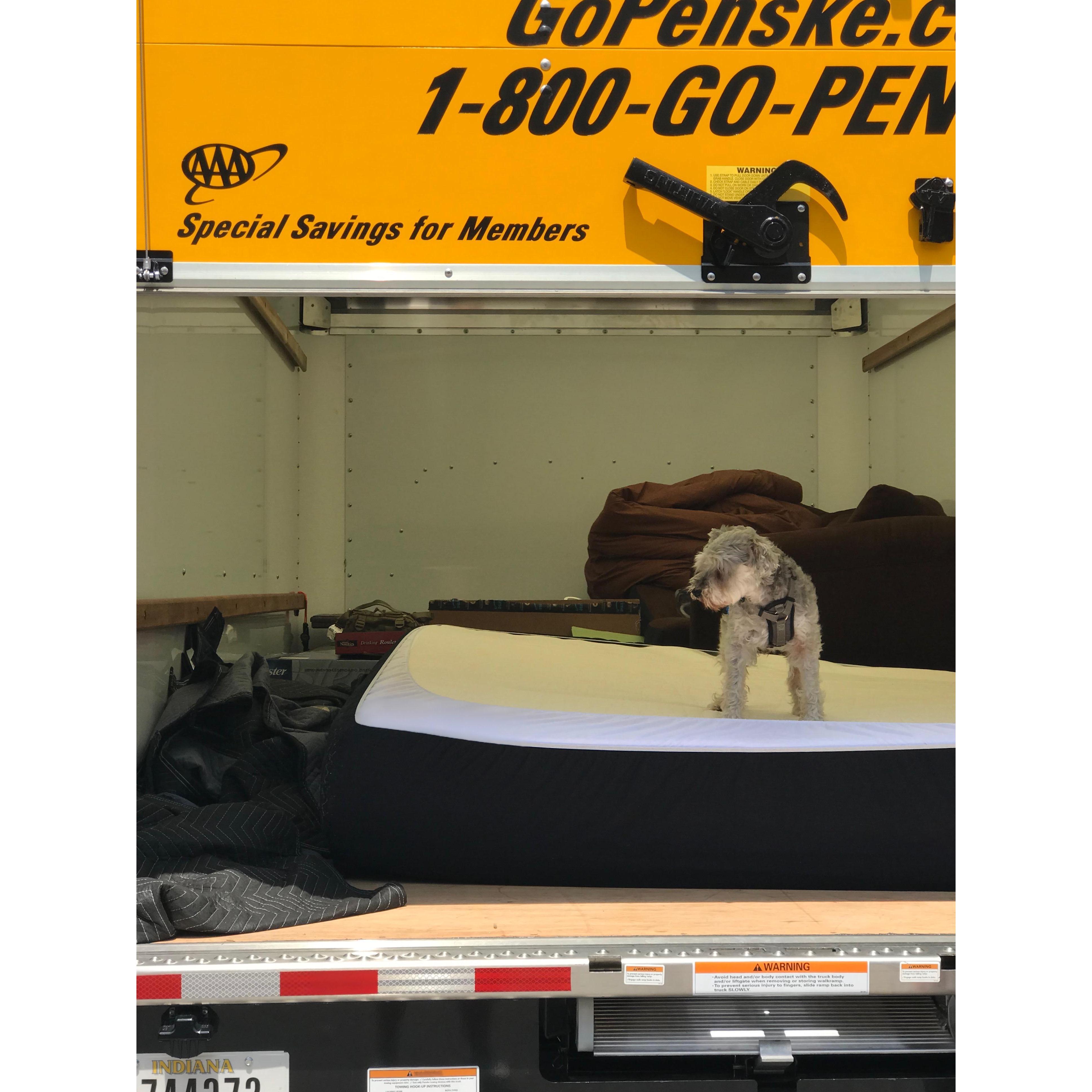 Moving day