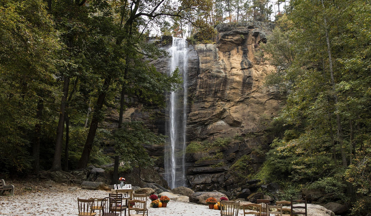 The Wedding Website of Jacob Watkins and Chasity Jackson