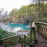 Cape Flattery