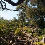 Santa Barbara Botanic Garden