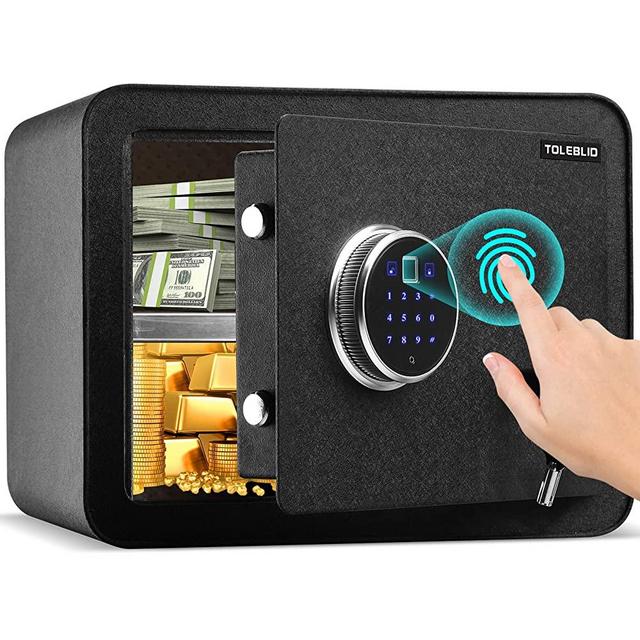 Fireproof Biometric Small Safe Box, Fingerprint Security Safe Box with Combination Lock and Removable Shelf, Home Safe for Home Firearm Medicine Money Documents Valuables