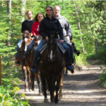 Cindy's Riding Stable