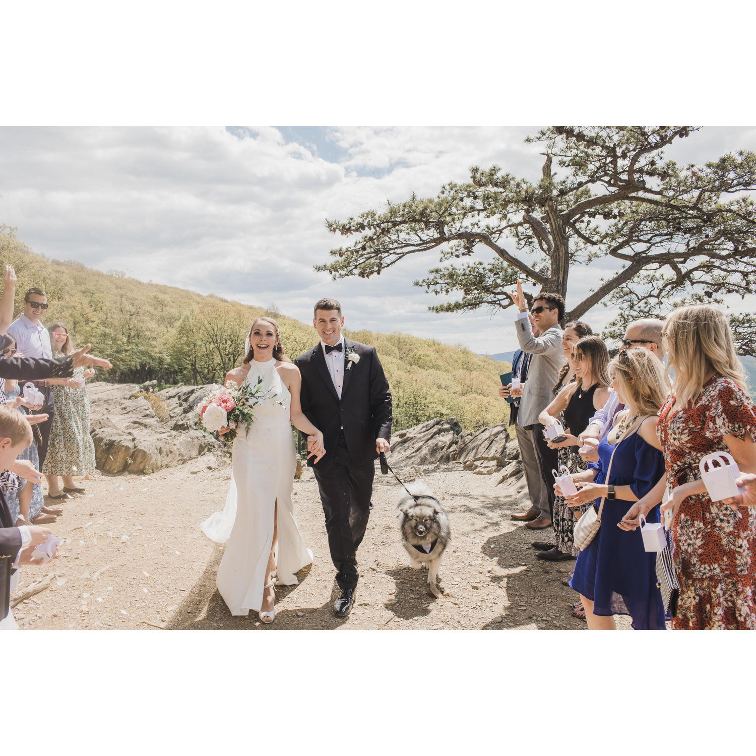 Our mountain elopement/backyard wedding
May 15, 2021