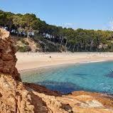 Playa de Fenals