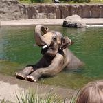 Oregon Zoo