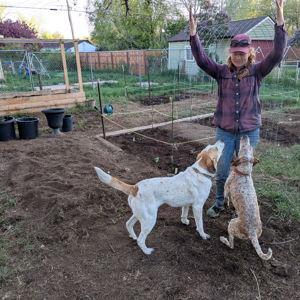 Landscaping and Garden