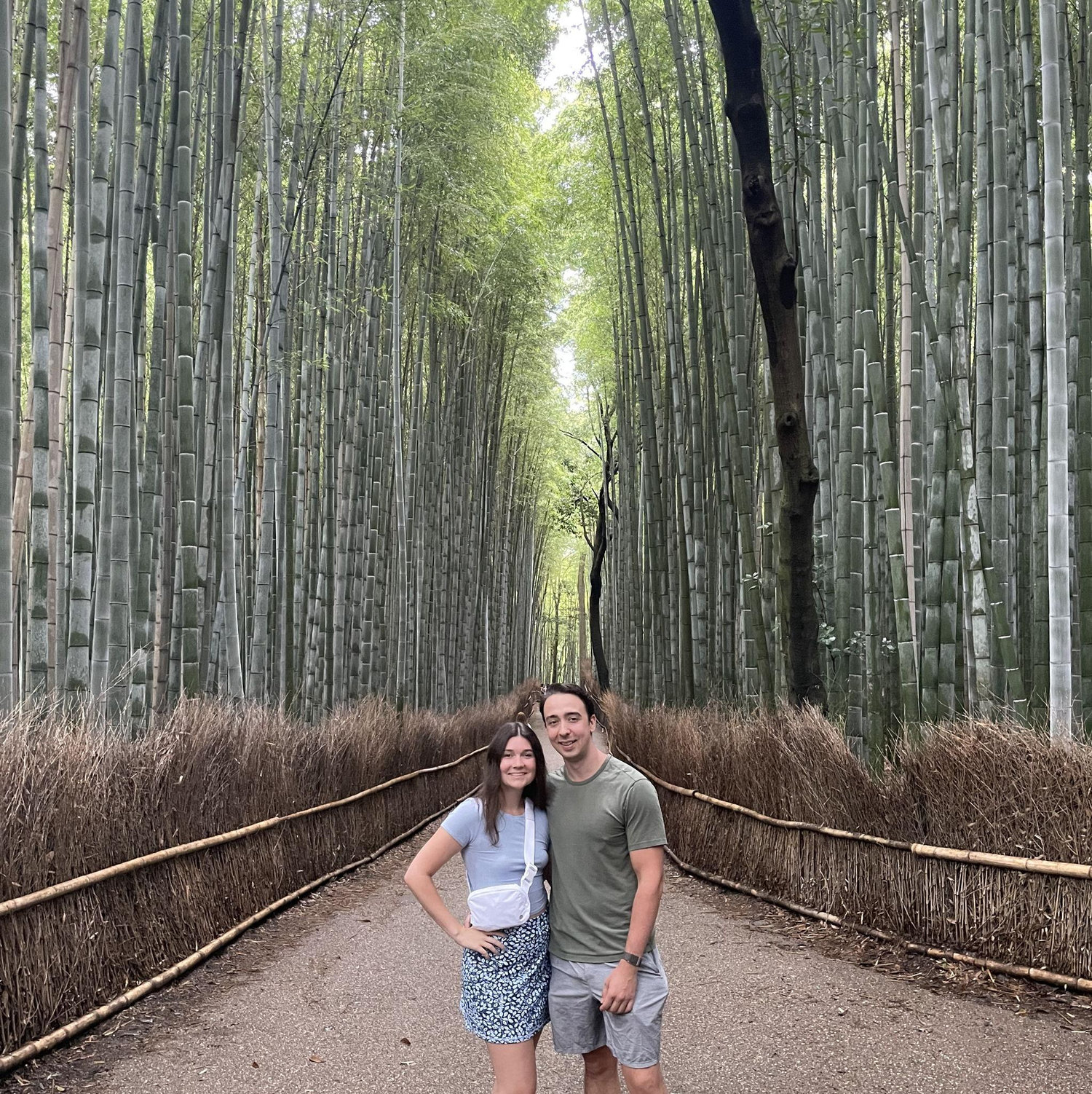 The bamboo forest in Kyoto!