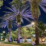 Miracle Mile