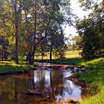 Steele Creek Park & Nature Center