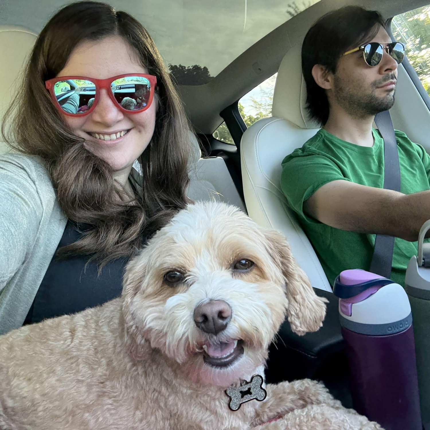 Taking Olive to the coast