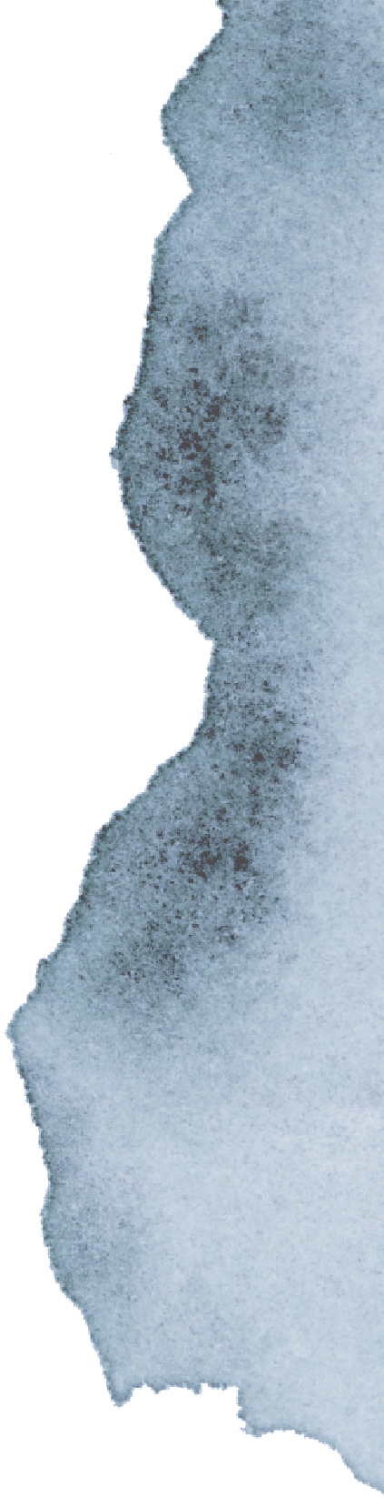shape