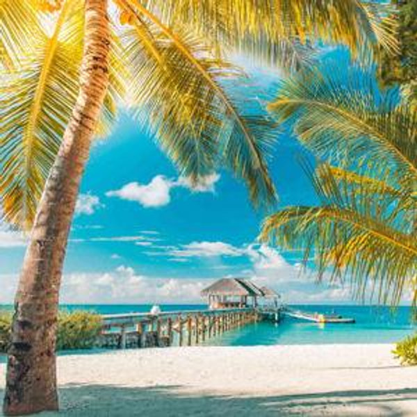 Money Towards our Honeymoon