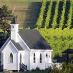 San Juan Vineyard