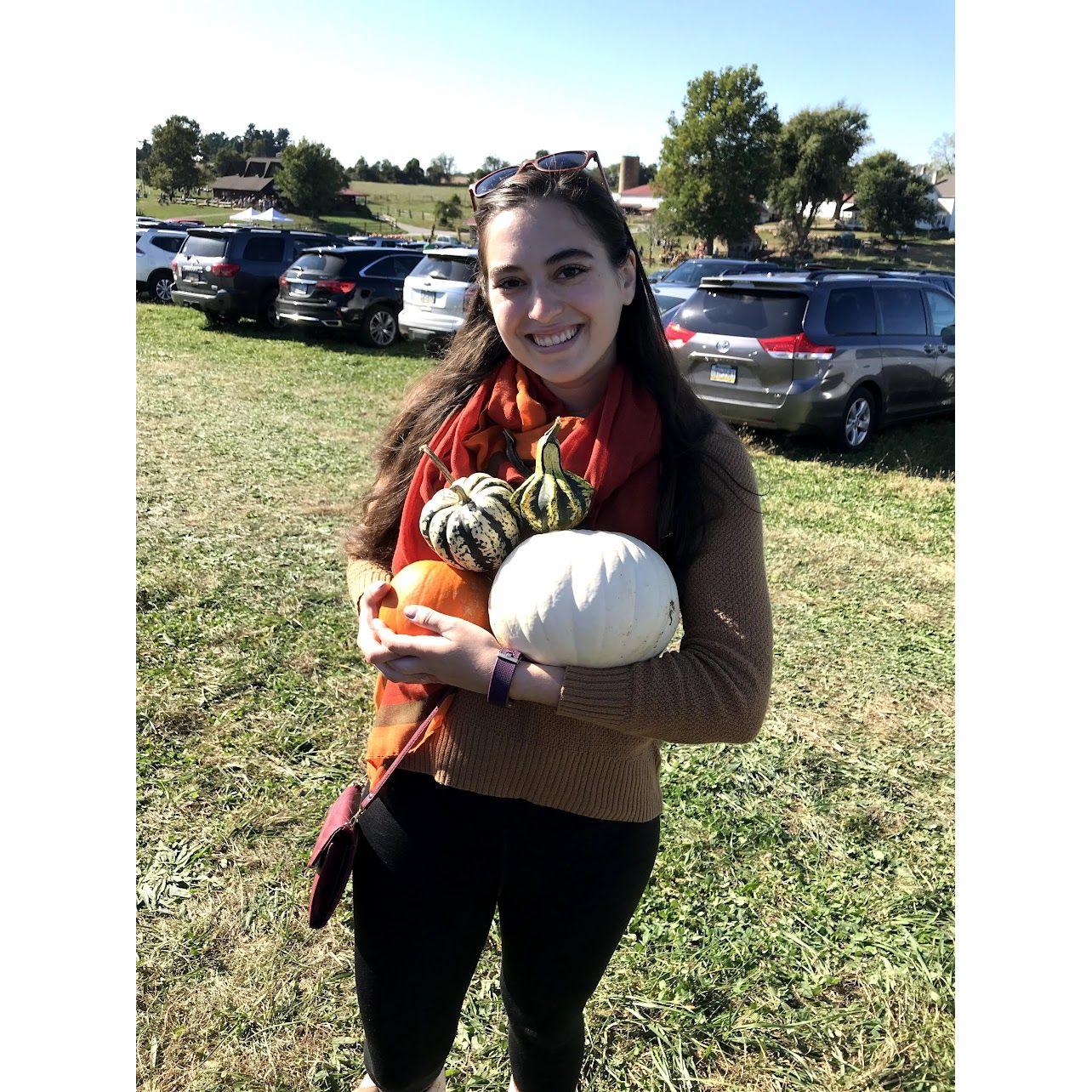 Lookin' Gourdgeous! It's Julie's mission every year to find the best gourds for Fall decorating.