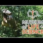 Museum of Life and Science