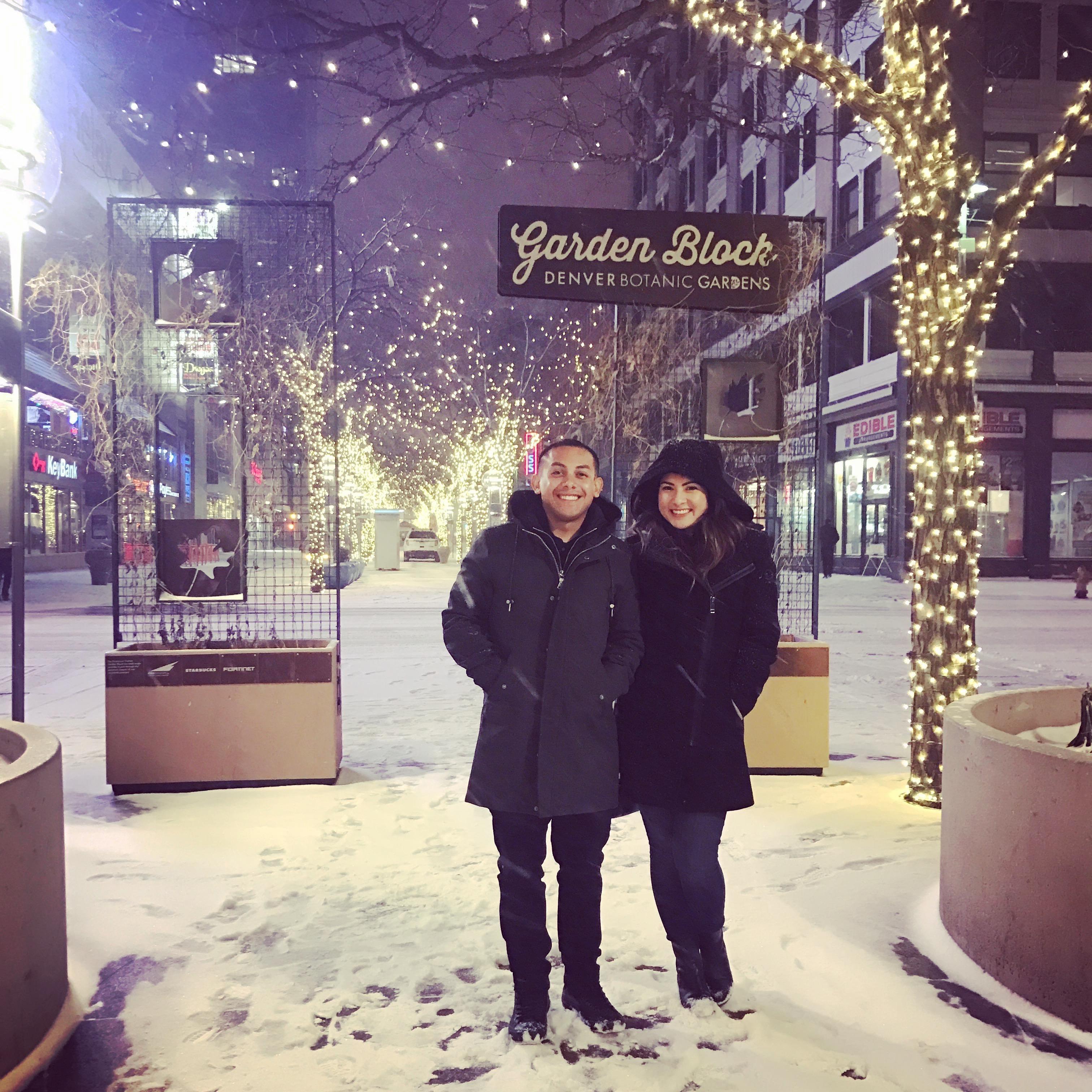 Snowfall in Denver, Dec 2016