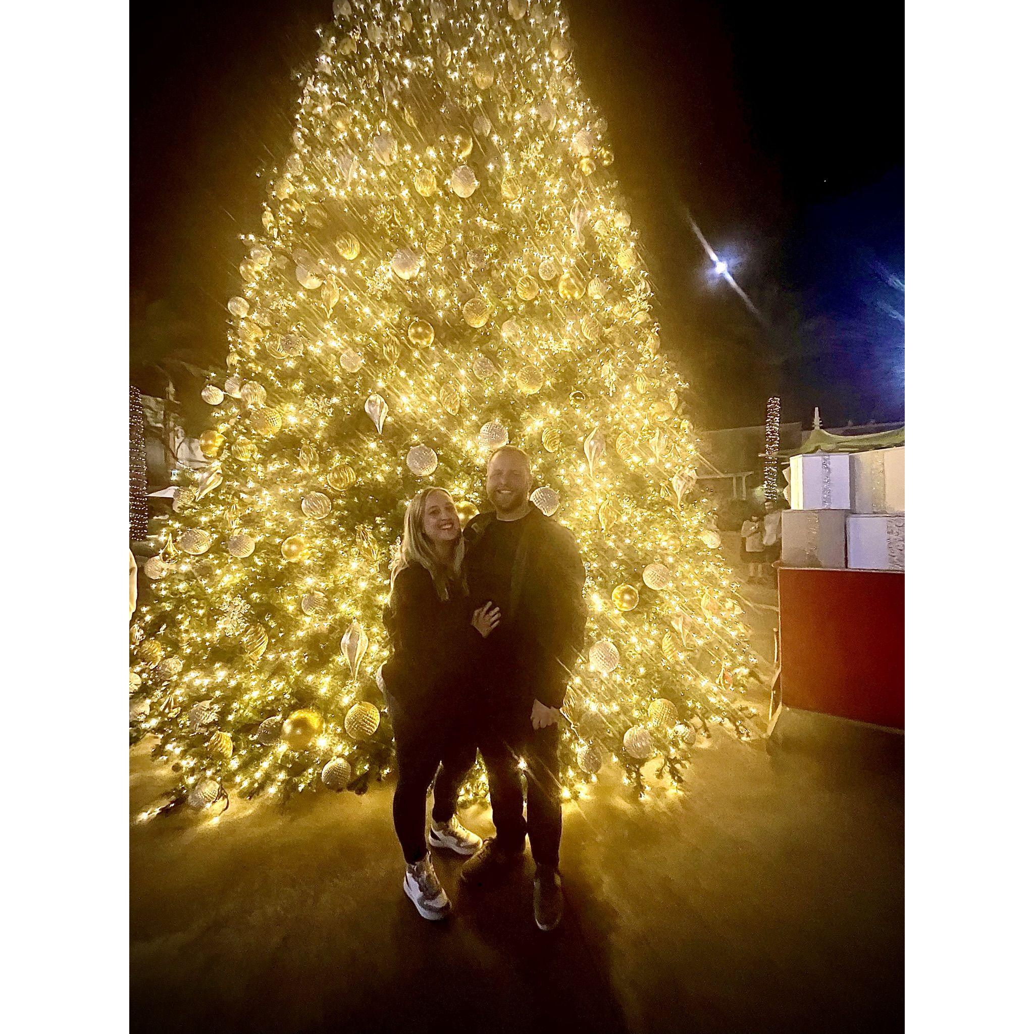 Our first Christmas tree photo