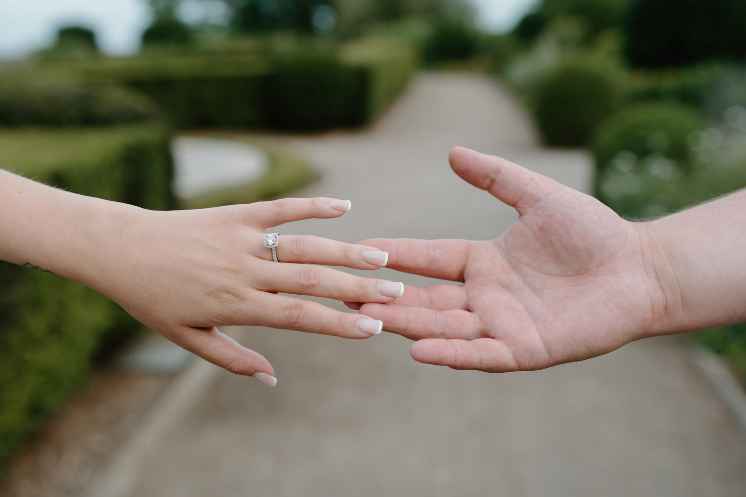 The Wedding Website of Taylor Graham and Dominik Sidorczuk