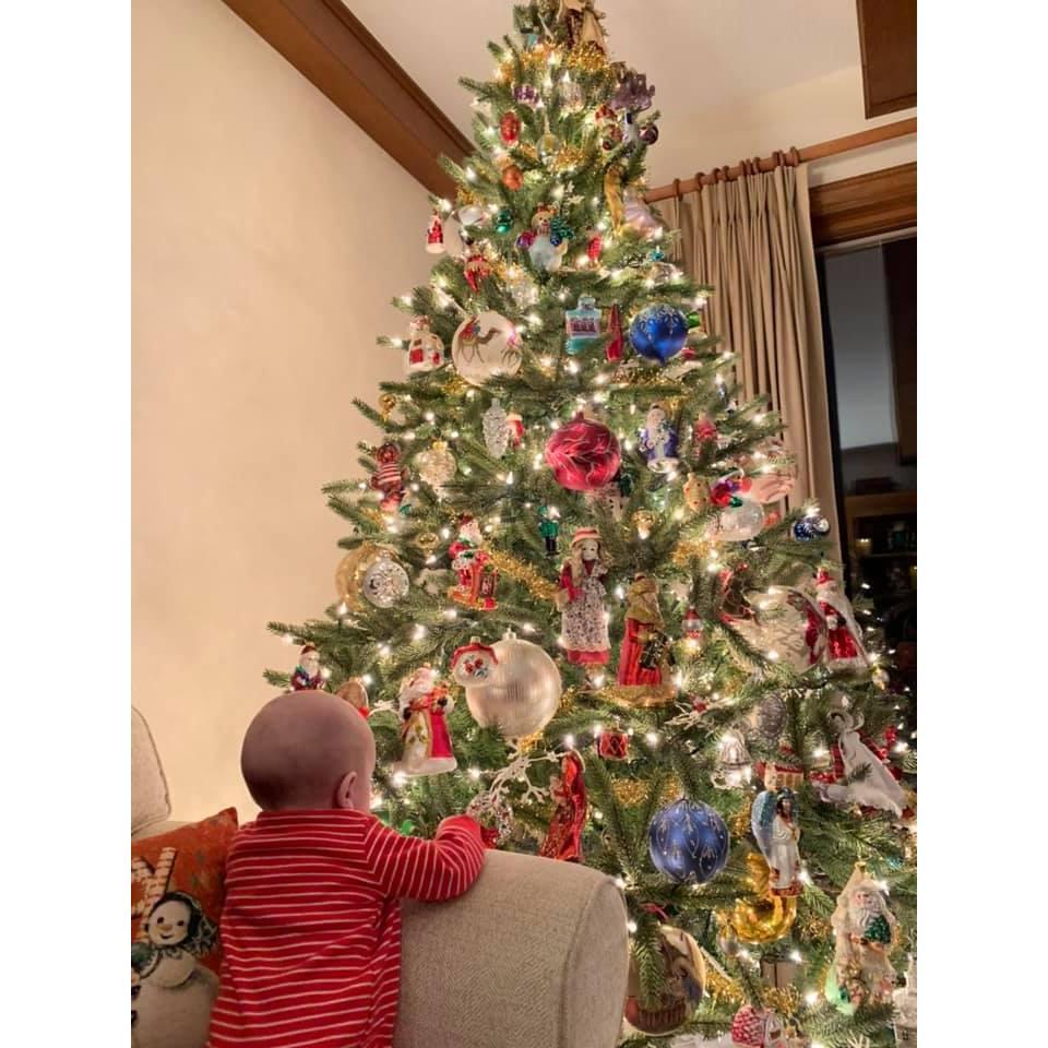 2018 Wylin enjoying GG Rose's beautiful Christmas tree